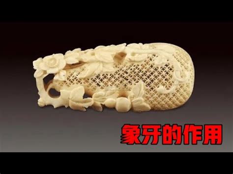 猛獁象牙功效|【猛獁功效】神秘猛獁象牙功效大解密！養生、辟邪、增運通通報。